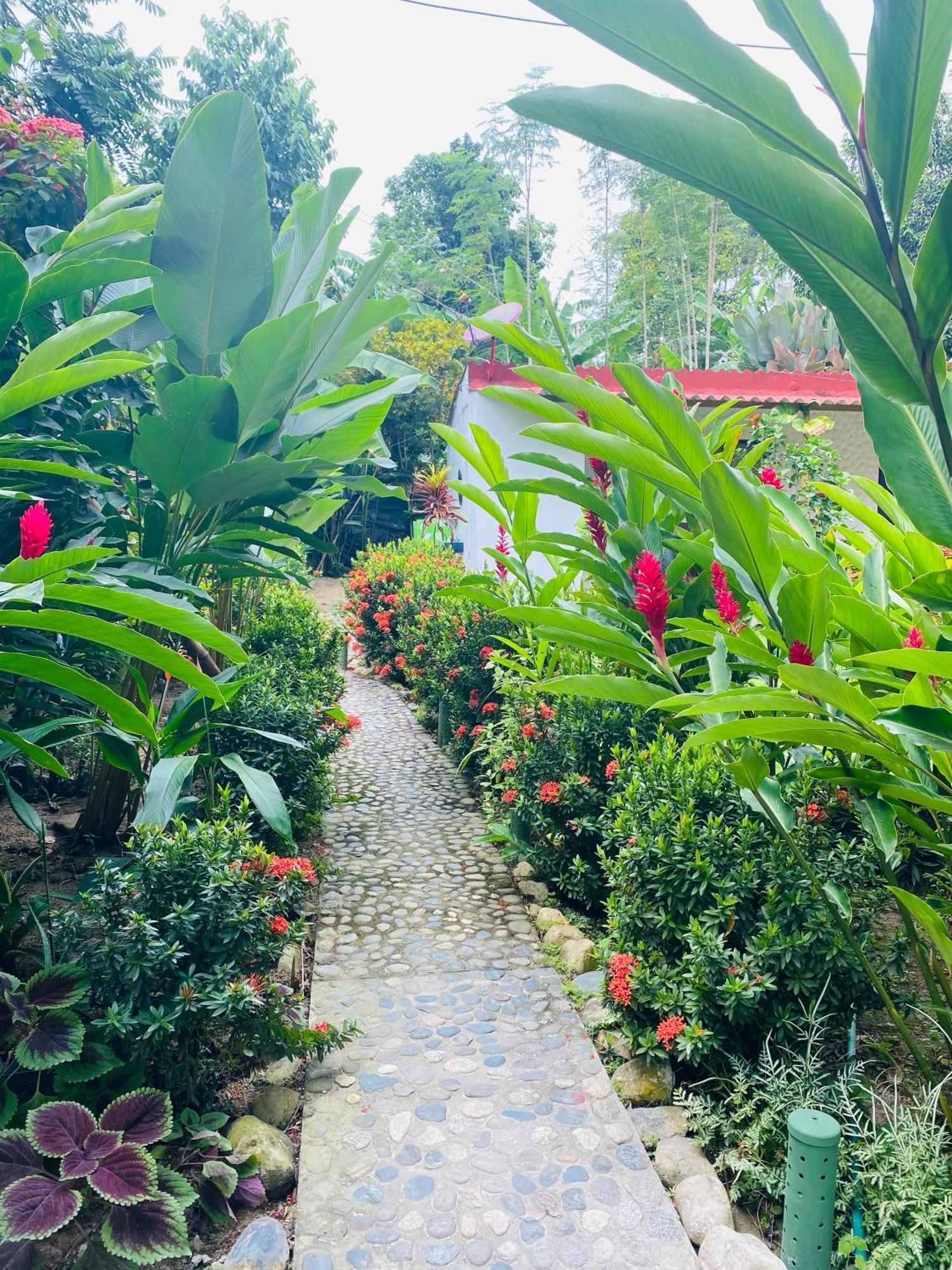 Wayanay Tayrona Eco HostZaino Kültér fotó