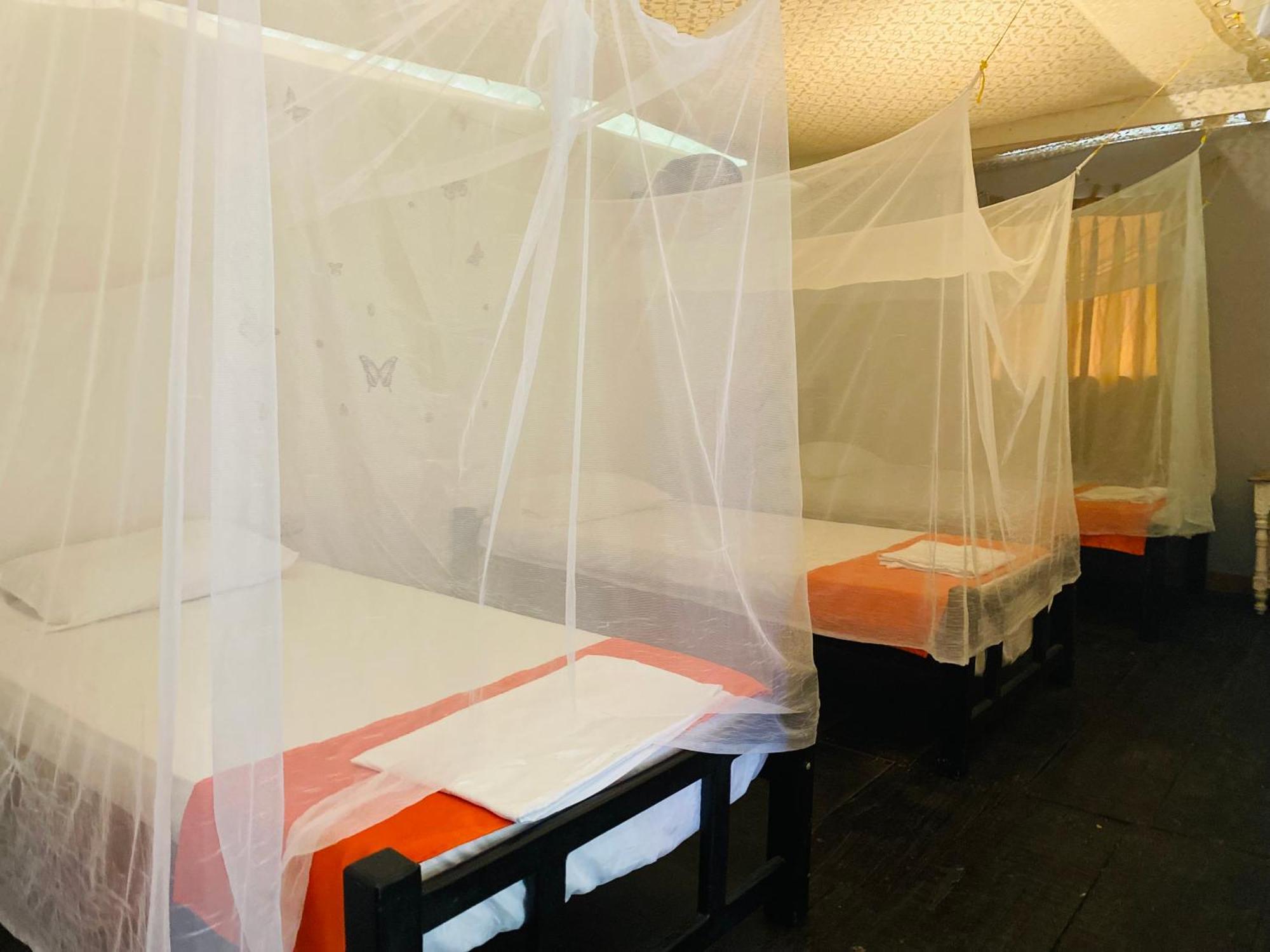 Wayanay Tayrona Eco HostZaino Kültér fotó